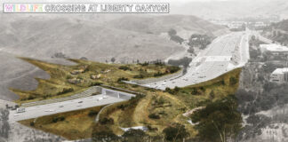 Santa Monica Mountains Wildlife Crossing Project Unveils New Images