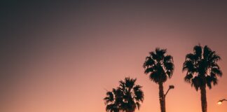 Saint Monica’s Tears Is Currently In The Works