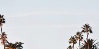 Beverly Hills Police Department Awarded $92,000 Grant