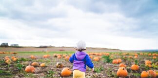 Pumpkin Patch Locations In Sherman Oaks