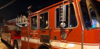 LAFD Rescues Woman Trapped On Cliffside In Pacific Palisades
