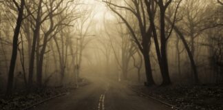 …And The Journey Continues