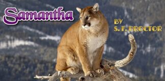 “Samantha,” A Short Story Part I
