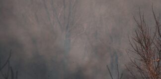 Brush Fire Extinguished In Malibu