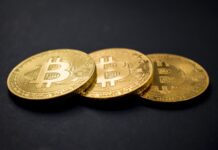 What Must Newbies Learn Before Making A Deal With Bitcoin?