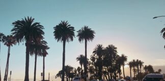 Free Parking In Downtown Santa Monica