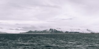 Fatal Drowning At Point Reyes