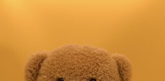 West Hollywood To Hold Toy And Food Drive