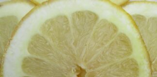 Citrus Fruits Ripen Through Winter citrus fruits