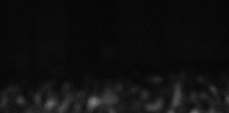 Baseball Hall Of Famer Don Sutton Dies