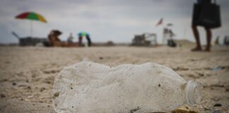 Plastic Oceans International Partnership With BlueCommunities