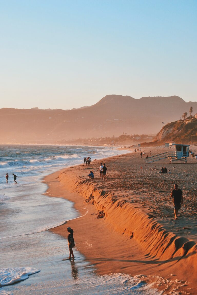 Malibu Dune Restoration Project
