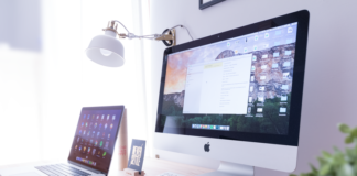 What Information Can I Get From A Background Check?