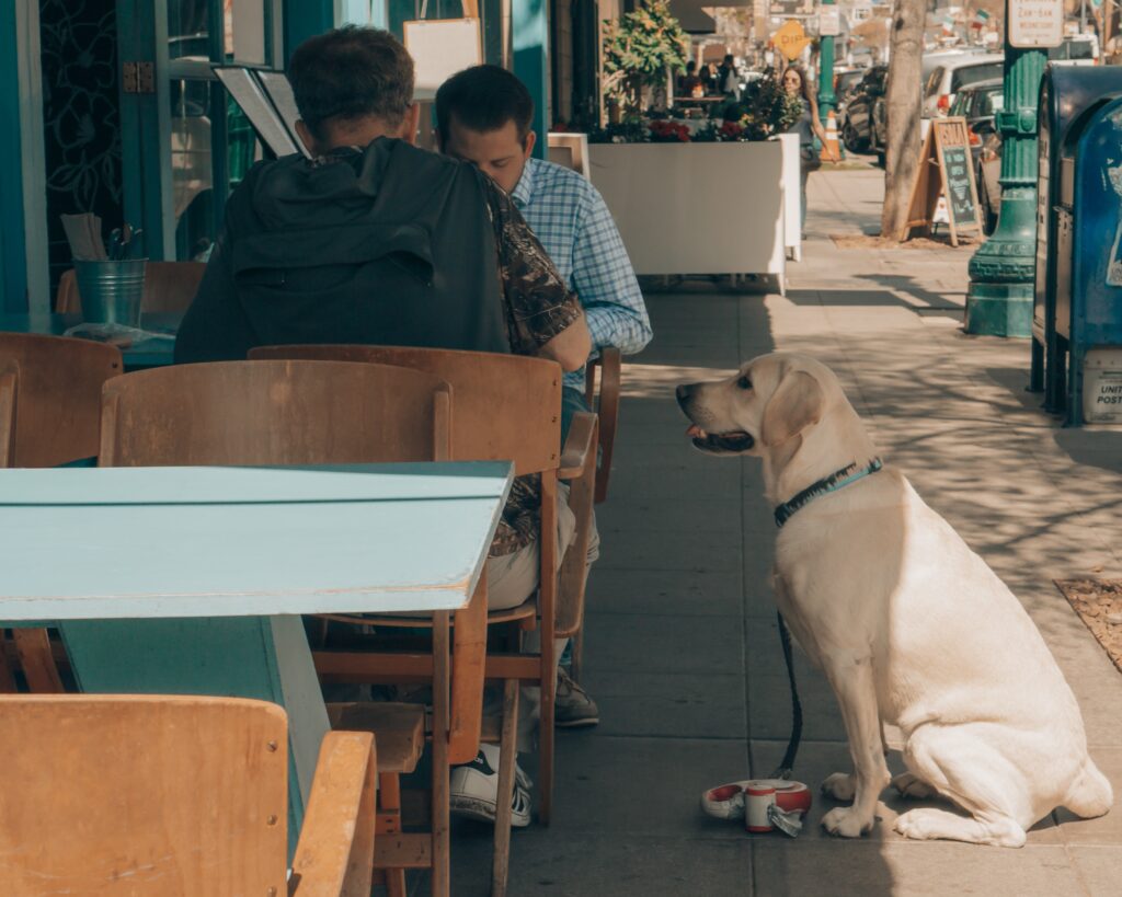 City Of West Hollywood Allows Outdoor Dining - Vimarsana News