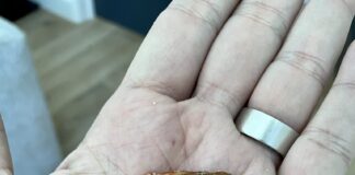 Comedian Allegedly Finds Shrimp Tails In Cereal