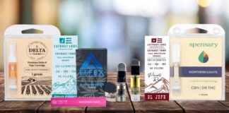 Top 5 Best Delta-8 THC Carts In 2021