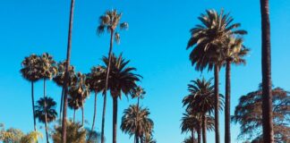 Beverly Hills Auditor Eduardo Luna To Step Down