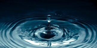 BH Participates In Wyland Water Conservation Challenge