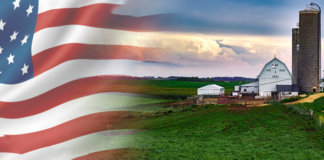 State Of Wisconsin Undergoes Forensic Election Audit