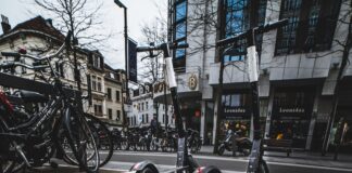 Bird Scooters Taken Out Of The City