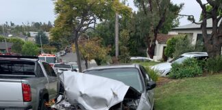 DUI And Possession Of A Rifle Arrests