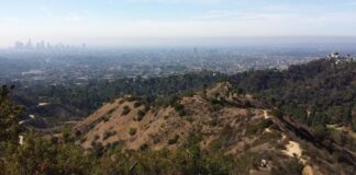 15-Year-Old Hiker Found In Hollywood Hills