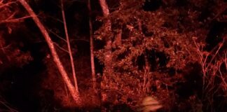 Brush Fire Breaks Out In Malibu