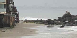 Body Found On Shore Of Malibu Beach