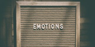 Do Not Compartmentalize Your Emotions