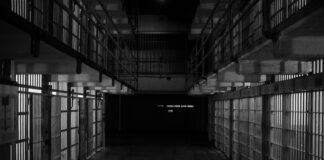 Efrem Zimbalist Demery Pleads To Double Murder