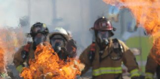 The LAFD Extinguishes Brush Fire In Griffith Park