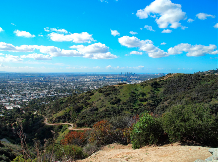 Hiker Rescued In Hollywood Hills