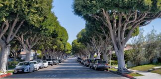 Santa Monica Rent Program Now Available