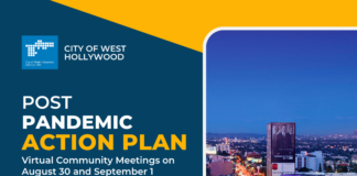 ‘Post Pandemic Action Plan’ Virtual Meetings