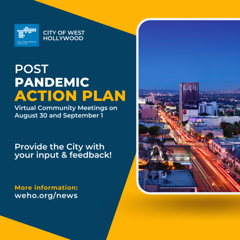 ‘Post Pandemic Action Plan’ Virtual Meetings