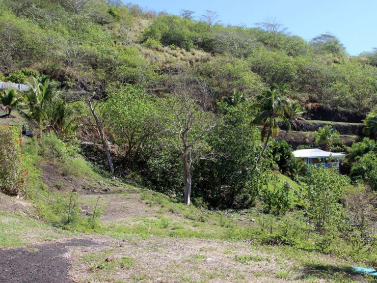 Hiker Rescued In Bel Air