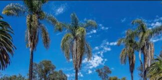 Bin Laden Home Selling For $28 Million