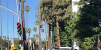 Overturned Vehicle In Hollywood Hills