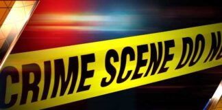 Woman Killed In Santa Monica Vehicle Collision