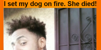 Dog Deliberately Set On Fire