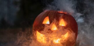 Halloween Carnaval 2021 Cancelled