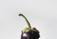 Who Knew Eggplant Was Good?