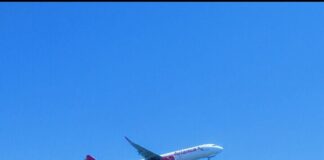 American Airlines Attendant Assaulted