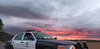 LAPD Investigating Fatal Hit-And-Run Accident