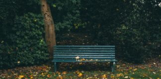 Body Discovered In Beverly Gardens Park