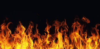 Brush Fire In Hollywood Hills