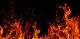 Crews Battle Hollywood Hills Brush Fire