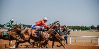 Running Like Water: Preakness Stakes Winners 2021