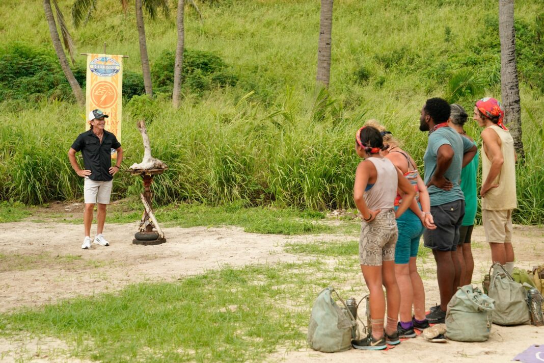 Survivor 41