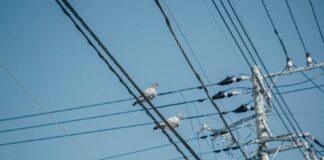 Outage Affects City Parking, Directional Signage